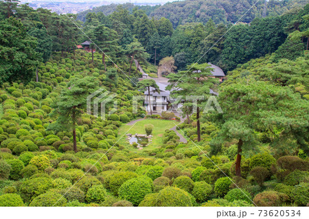 東京都 青梅市 秋 塩船観音寺 東京都 青梅市 秋 塩船観音寺 73620534