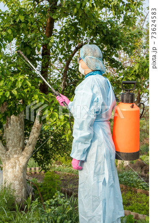 Protecting apple trees from fungal disease or vermin with pressure sprayer. 73624583