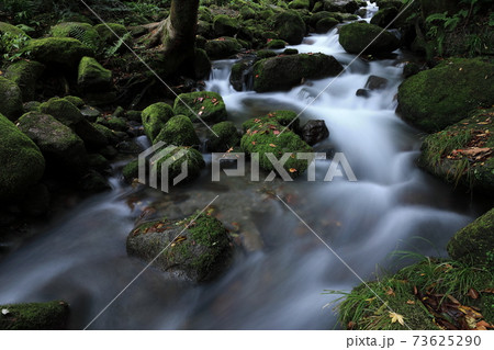鳥取県 大山 木谷沢渓流 秋 73625290