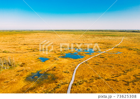 Miory District, Vitebsk Region, Belarus. The Yelnya Swamp. Aerial View Of Yelnya Nature Reserve Landscape. Narrow Wooden Hiking Trail Winding Through Marsh. Cognitive Boardwalk Trail Over A Wetland Miory District, Vitebsk Region, Belarus. The Yelnya Swamp. Aerial View Of Yelnya Nature Reserve Landscape. Narrow Wooden Hiking Trail Winding Through Marsh. Cognitive Boardwalk Trail Over A Wetland 73625308