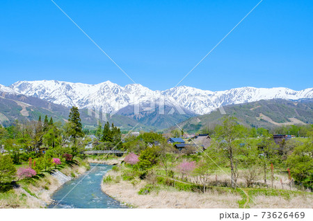 春の白馬村(5月):大出公園 春の白馬村(5月):大出公園 73626469