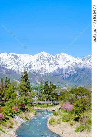 春の白馬村(5月):大出公園 春の白馬村(5月):大出公園 73626477