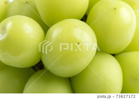 日光 サンビーム 陽射し 73627172