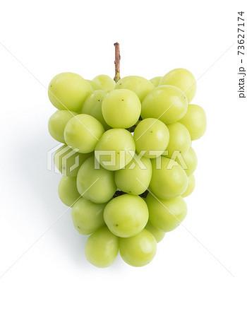 マスカット ぶどう 葡萄 73627174
