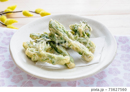 たらの芽の天ぷら 73627560