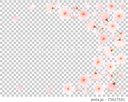 Watercolor style cherry blossom decoration illustration Watercolor style cherry blossom decoration illustration 73627581