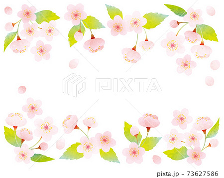 水彩風 葉桜の装飾イラストのイラスト素材