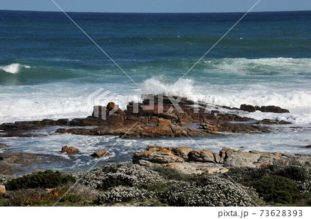 南アフリカ、ケープ半島、喜望峰自然保護区、海岸に打ち寄せる大波 73628393