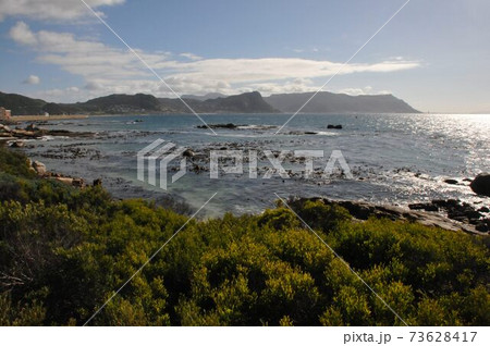 南アフリカ、ケープ半島、ボルダーズ・ビーチ 南アフリカ、ケープ半島、ボルダーズ・ビーチ 73628417