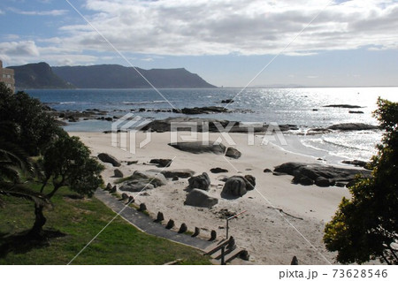 南アフリカ、ケープ半島、ボルダーズ・ビーチ 73628546