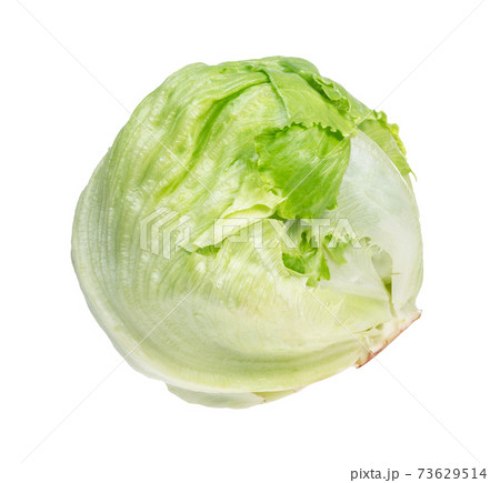 iceberg lettuce, head lettuce cutout on white iceberg lettuce, head lettuce cutout on white 73629514