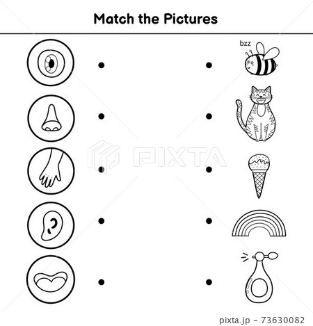 five senses matching game for kids match the stock illustration 73630082 pixta