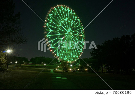 葛西臨海公園 夜 夜景 ライトアップ 観覧車 夜の公園の写真素材