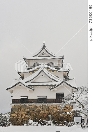 雪が舞い降る彦根城 雪が舞い降る彦根城 73630499