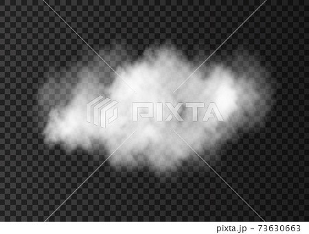 Realistic vector white smoke cloud isolated on transparent background. Realistic vector white smoke cloud isolated on transparent background. 73630663