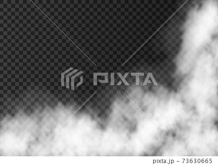 Realistic  vector fire smoke  or mist texture. 73630665