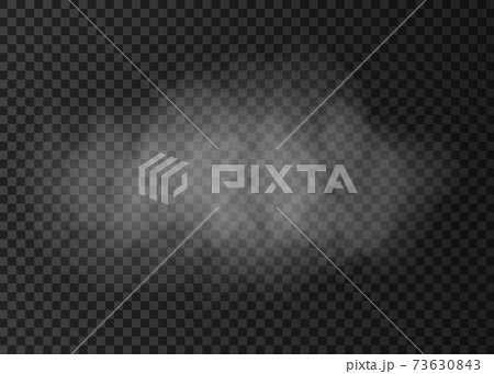 White  fire  smoke cloud  isolated on transparent background. 73630843