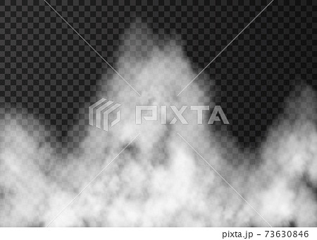 White fire smoke isolated on transparent background. 73630846