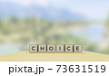 Wooden cubes with a word Choice, social media and environment concept on blurred background	 73631519