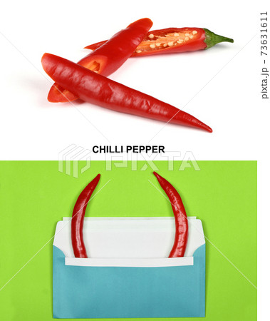 Creative layout made of red chilli peppers. 73631611