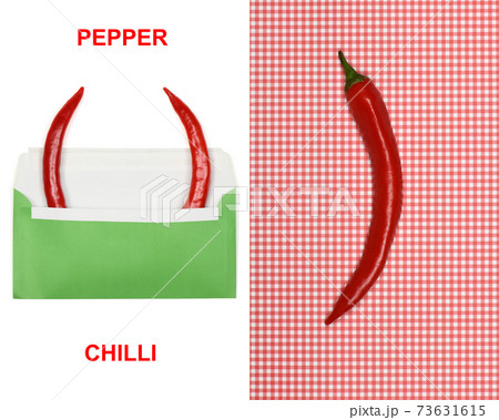 Creative layout made of red chilli peppers. 73631615