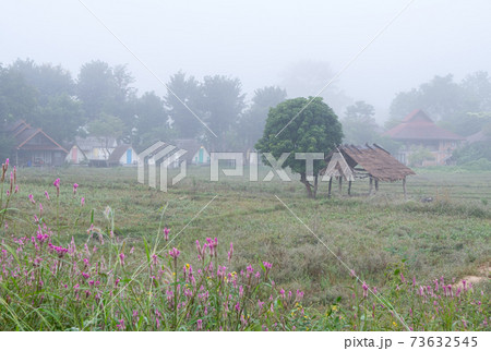The countryside village is covered by the fog. The countryside village is covered by the fog. 73632545