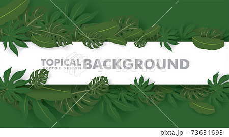 Frame made of fresh green tropical leaves on white background. Space for design or text. vector illustration design Frame made of fresh green tropical leaves on white background. Space for design or text. vector illustration design 73634693