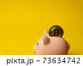 Bitcoin gold crypto coin inside piggy money box 73634742