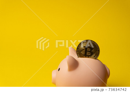 Bitcoin gold crypto coin inside piggy money box 73634742