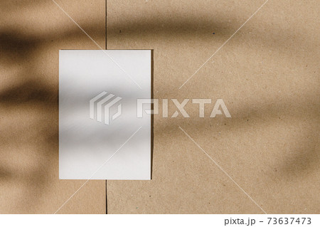 Foliage shadow on paper background with business card 73637473