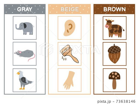 Learn the primary colors. Color sorting activity page - gray, brown, beige. Educational material Learn the primary colors. Color sorting activity page - gray, brown, beige. Educational material 73638146