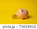 Cryptocurrency Bitcoin near piggy money box as symbol of financial revolution 73638916