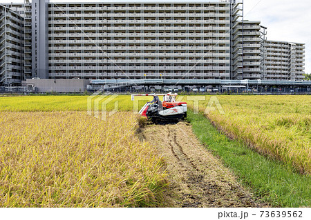 兵庫県三田市で、乗用コンバインでの稲刈り風景 兵庫県三田市で、乗用コンバインでの稲刈り風景 73639562