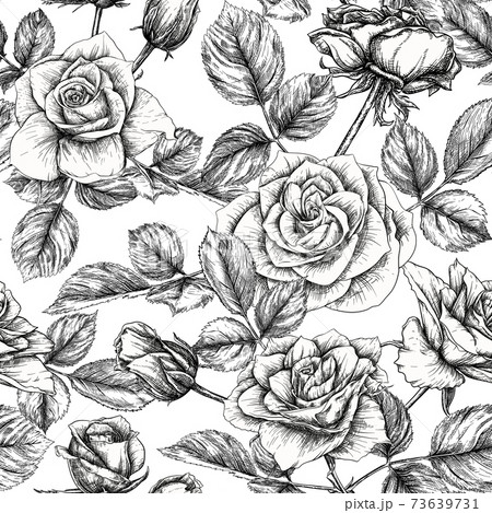Seamless pattern with roses flowers. Seamless pattern with roses flowers. 73639731