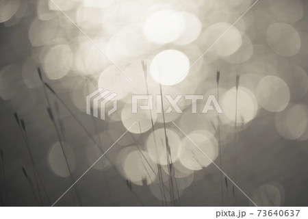 Shine water , bokeh background 73640637