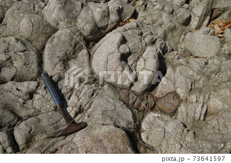 枕状溶岩 焼津市浜当目海岸 枕状溶岩 焼津市浜当目海岸 73641597