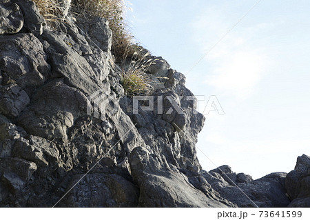 枕状溶岩　焼津市浜当目海岸 73641599