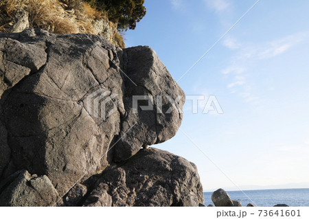 枕状溶岩　焼津市浜当目海岸 73641601