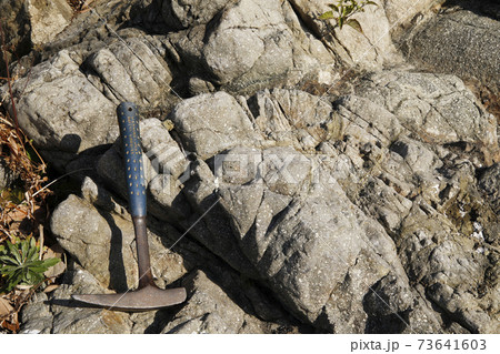 枕状溶岩　焼津市浜当目海岸 73641603