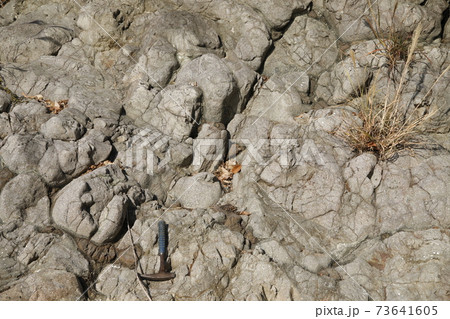 枕状溶岩　焼津市浜当目海岸 73641605