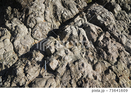 枕状溶岩　焼津市浜当目海岸 73641609