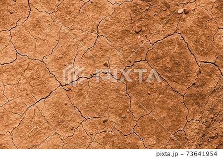 Soil Soil 73641954