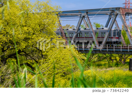 春の河川敷 春の河川敷 73642240