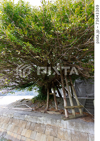 【熊本県】 三角西港 (三角旧港) 【熊本県】 三角西港 (三角旧港) 73643369