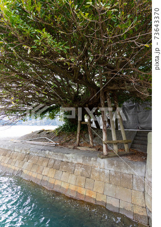 【熊本県】 三角西港 (三角旧港) 【熊本県】 三角西港 (三角旧港) 73643370