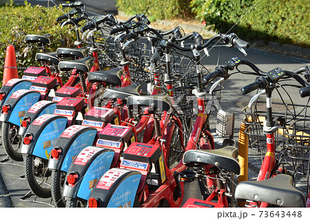 レンタサイクル 73643448