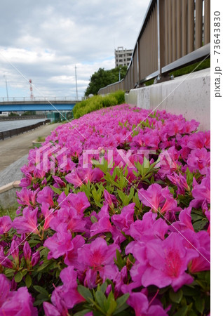 北千住 銭湯タカラ湯 北千住 銭湯タカラ湯 73643830