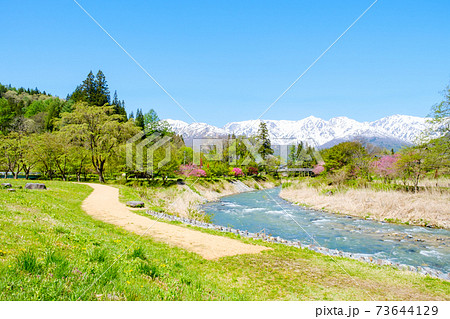 春の白馬村(5月):大出公園 春の白馬村(5月):大出公園 73644129