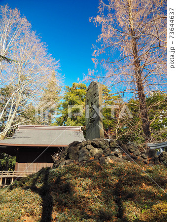 川口神社境内の富士塚 川口神社境内の富士塚 73644637