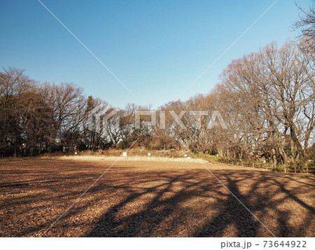 赤塚城本丸 73644922